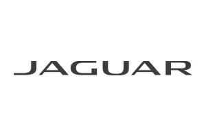 Jaguar Logo